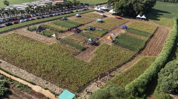 Coasa organiza Dia de Campo na próxima quinta-feira (26)