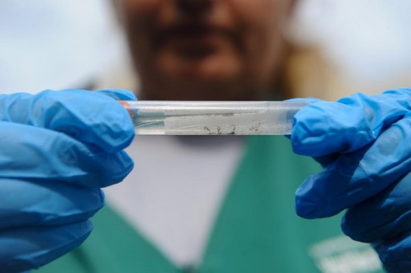 Passo Fundo supera 500 casos de dengue em tempo recorde na comparação com série histórica